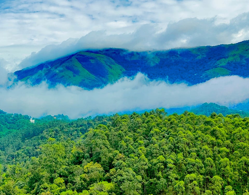 Wayanad